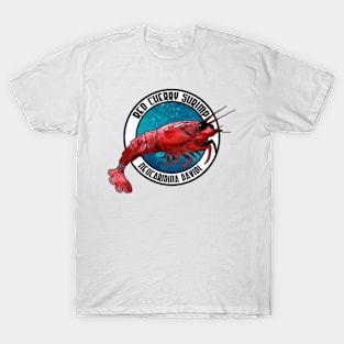 Red Cherry Shrimp 1 T-Shirt